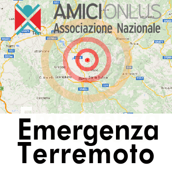AMICI per i colpiti dal terremoto