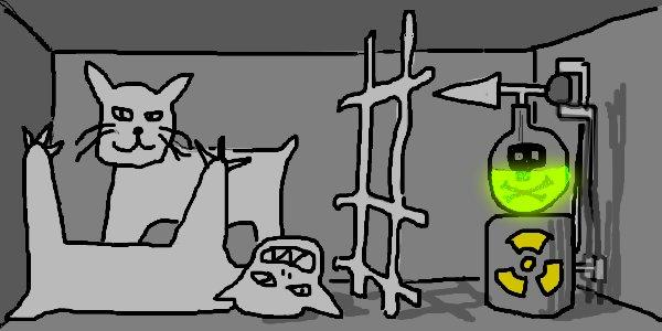 Il gatto di Schrödinger fra la vita e la morte