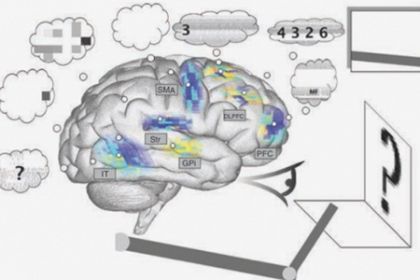 Il cervello conta in automatico