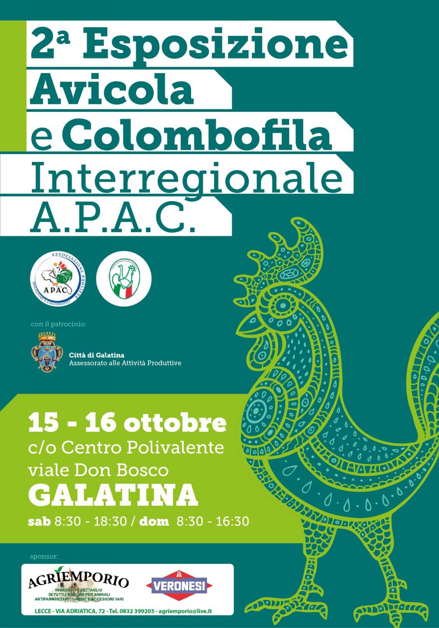 A Galatina la seconda mostra avicola e colombofila interregionale