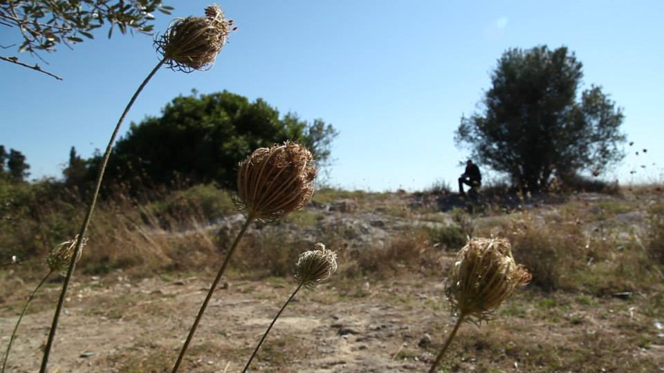 “Nella terra di mezzo”  alla 'Città del libro'