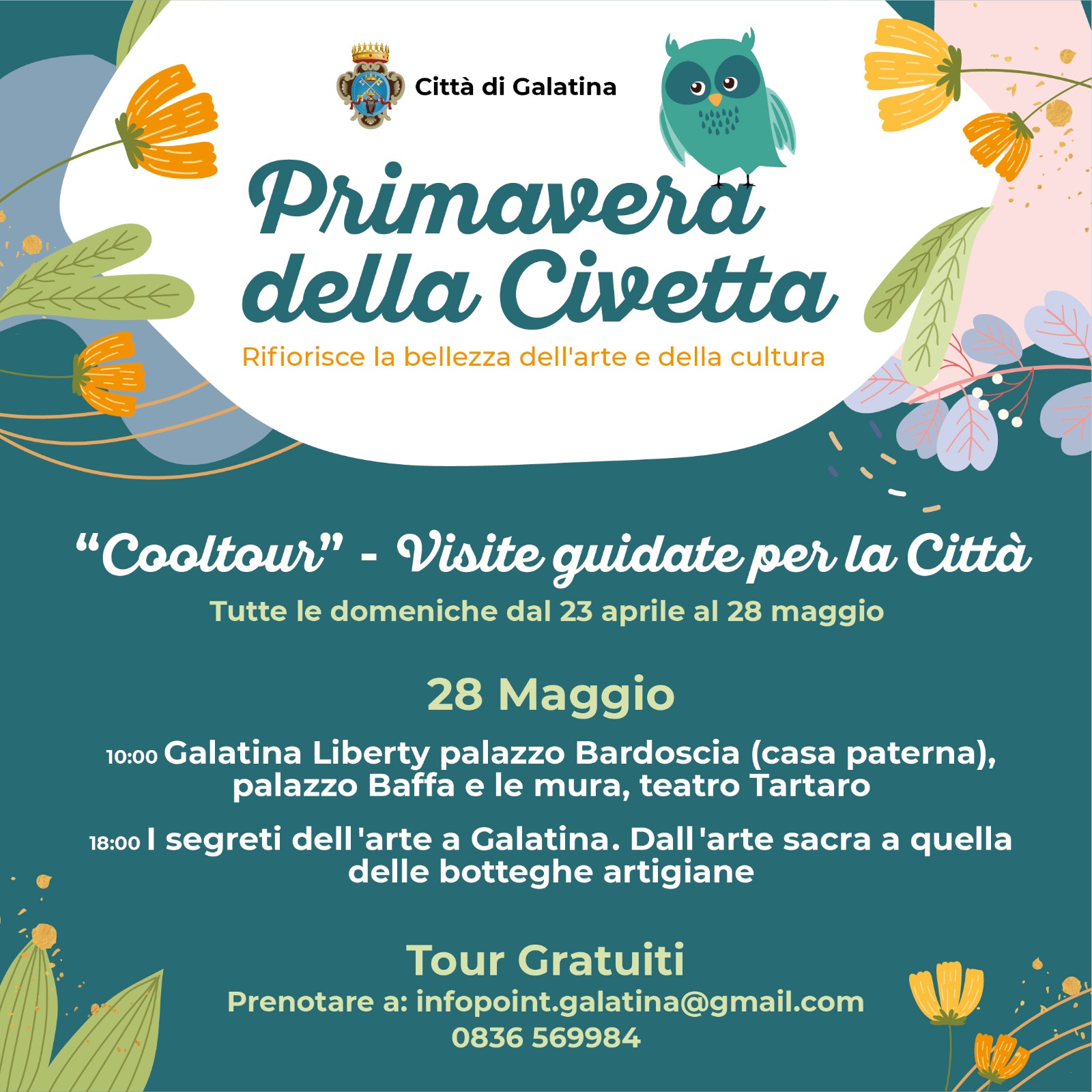 Primavera della civetta