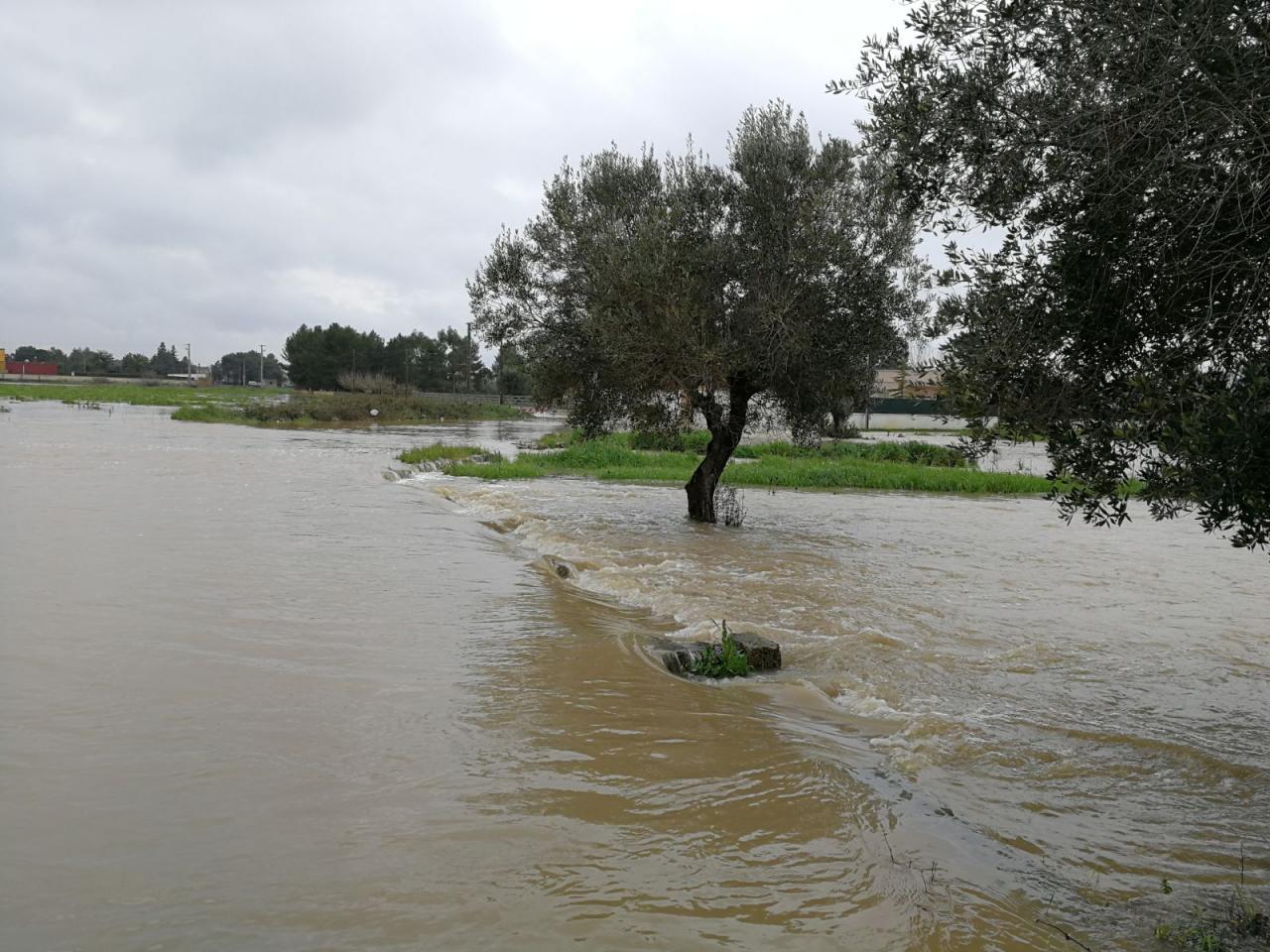 Esondazione torrente Asso 26 febbraio 2018