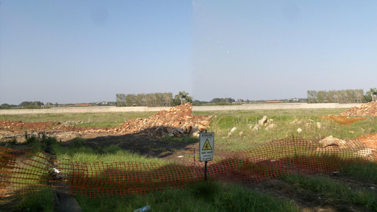 Abbattuta nella notte la quercia vallonea