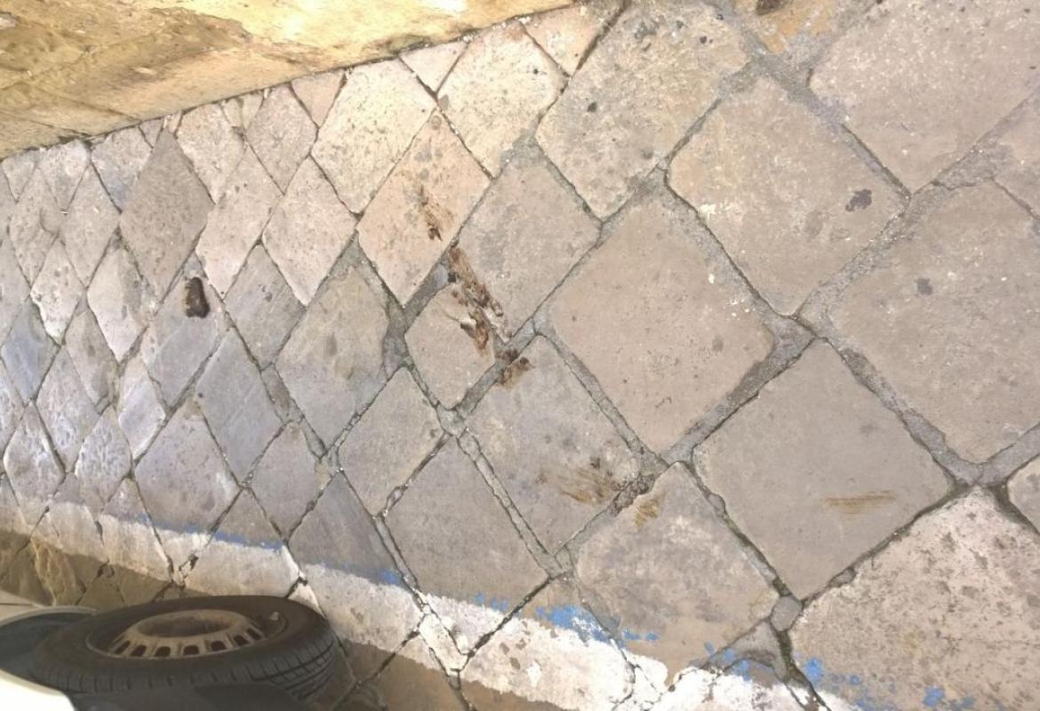 "Papà, chi fa la cacca per strada?"