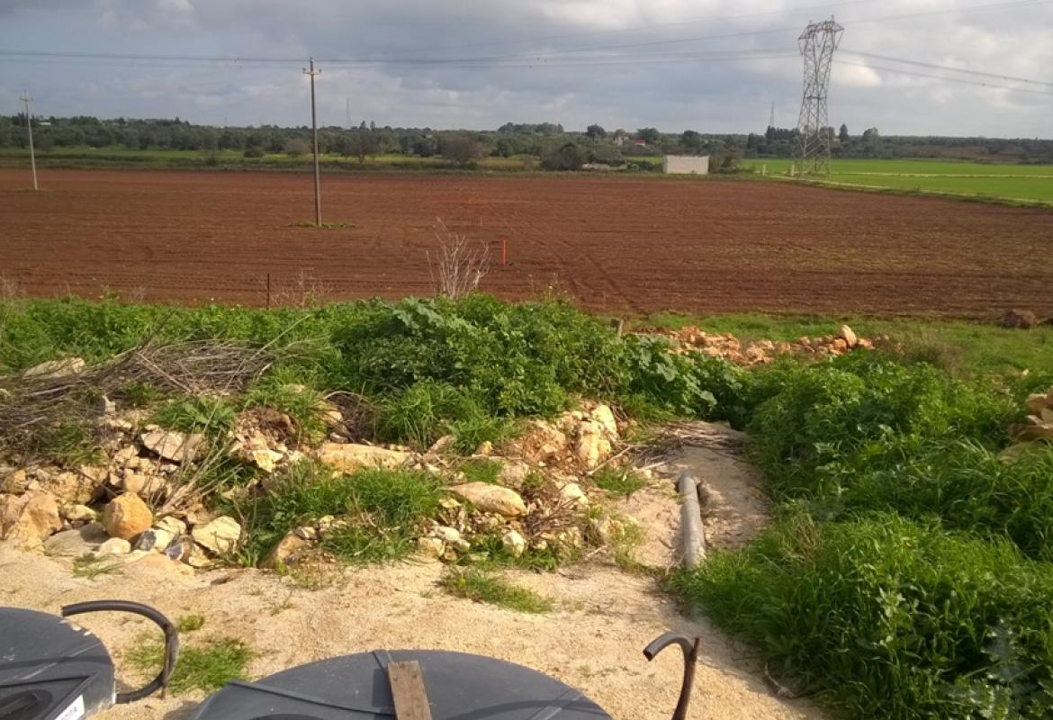 Sotto sequestro il terreno di un'azienda agricola galatinese