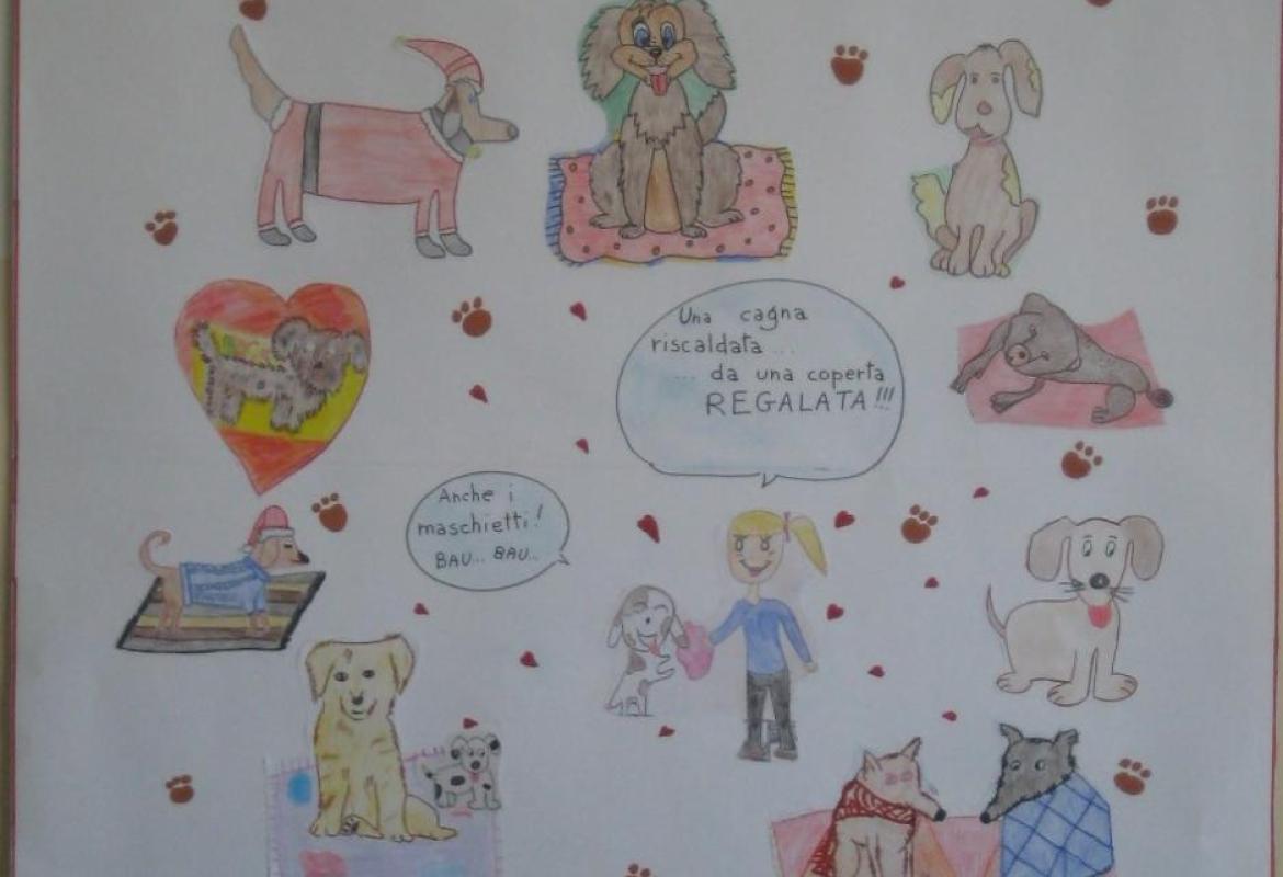 Raccolta di coperte per &quot;morbidosi&quot; cuccioli