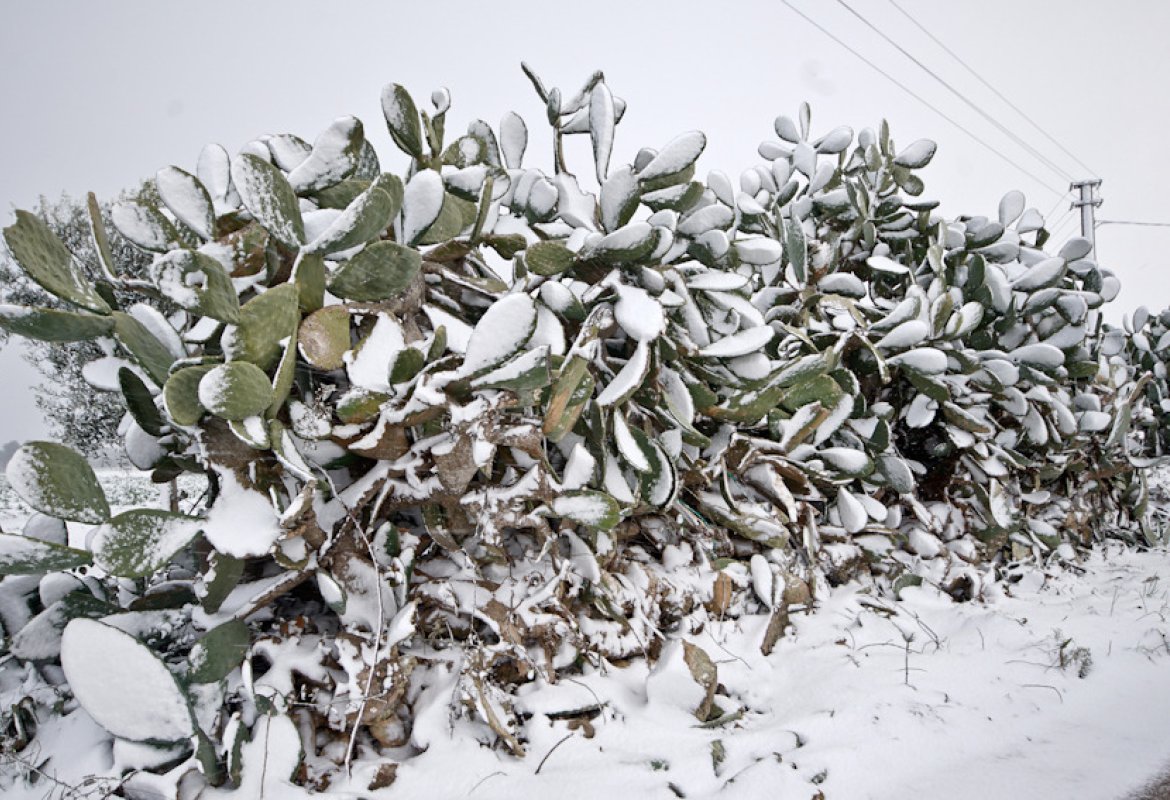 Buttate il cuore in mezzo al bianco