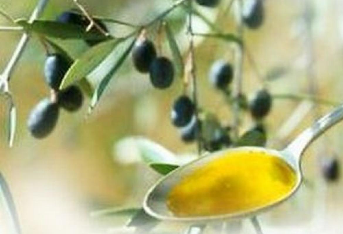 Vuoi diventare assaggiatore di olio? L'Apol organizza un corso gratuito