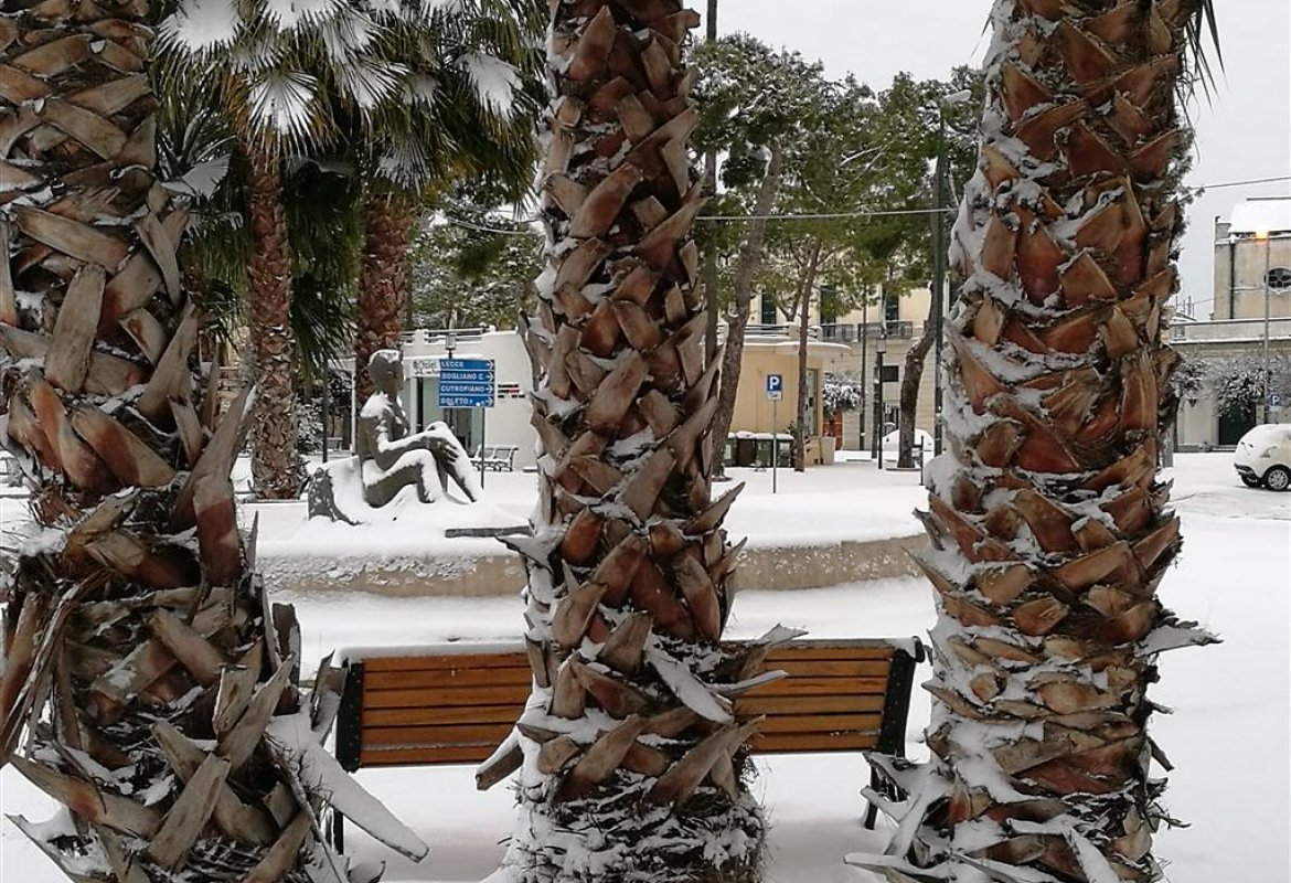 La neve di Alice