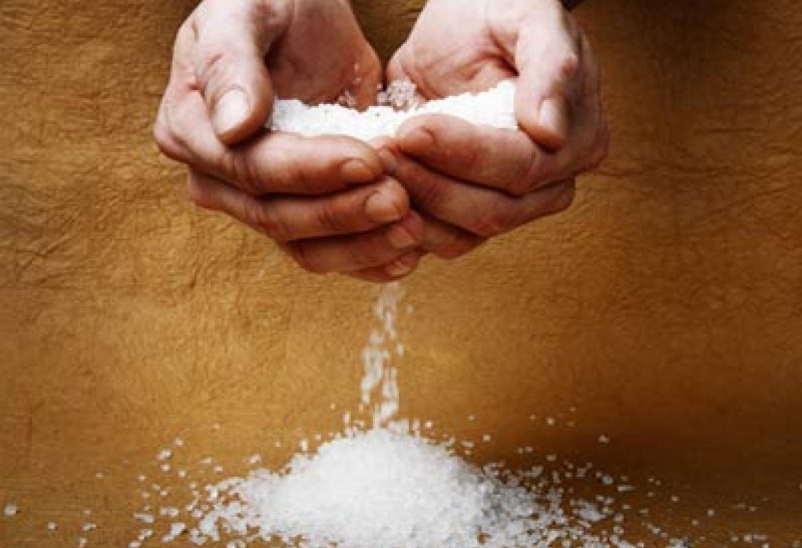 &quot;Voi siete il sale della terra&quot;