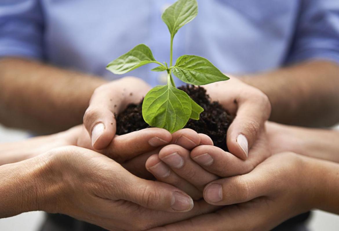 Salute e rispetto per l'ambiente si imparano a scuola