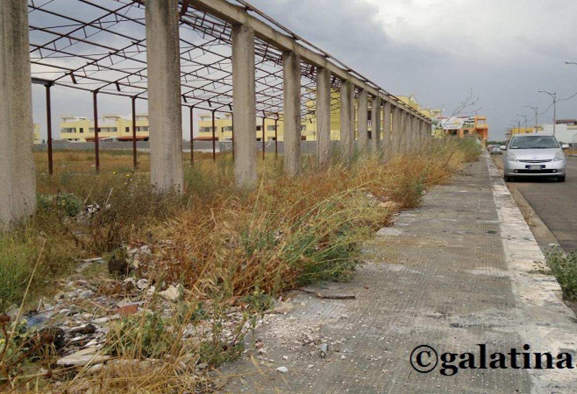 "Appuntamento al Ponte Picaleo per pulire le campagne galatinesi"