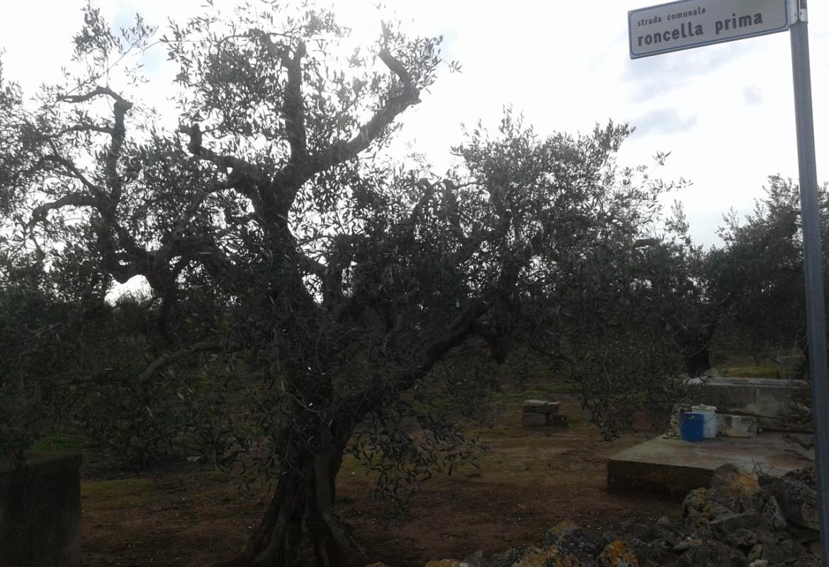 I residenti in via Roncella prima tornano alla carica