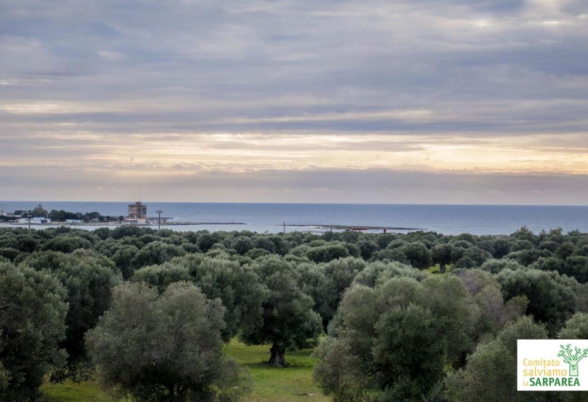 Sarparea, quale ricaduta occupazionale?