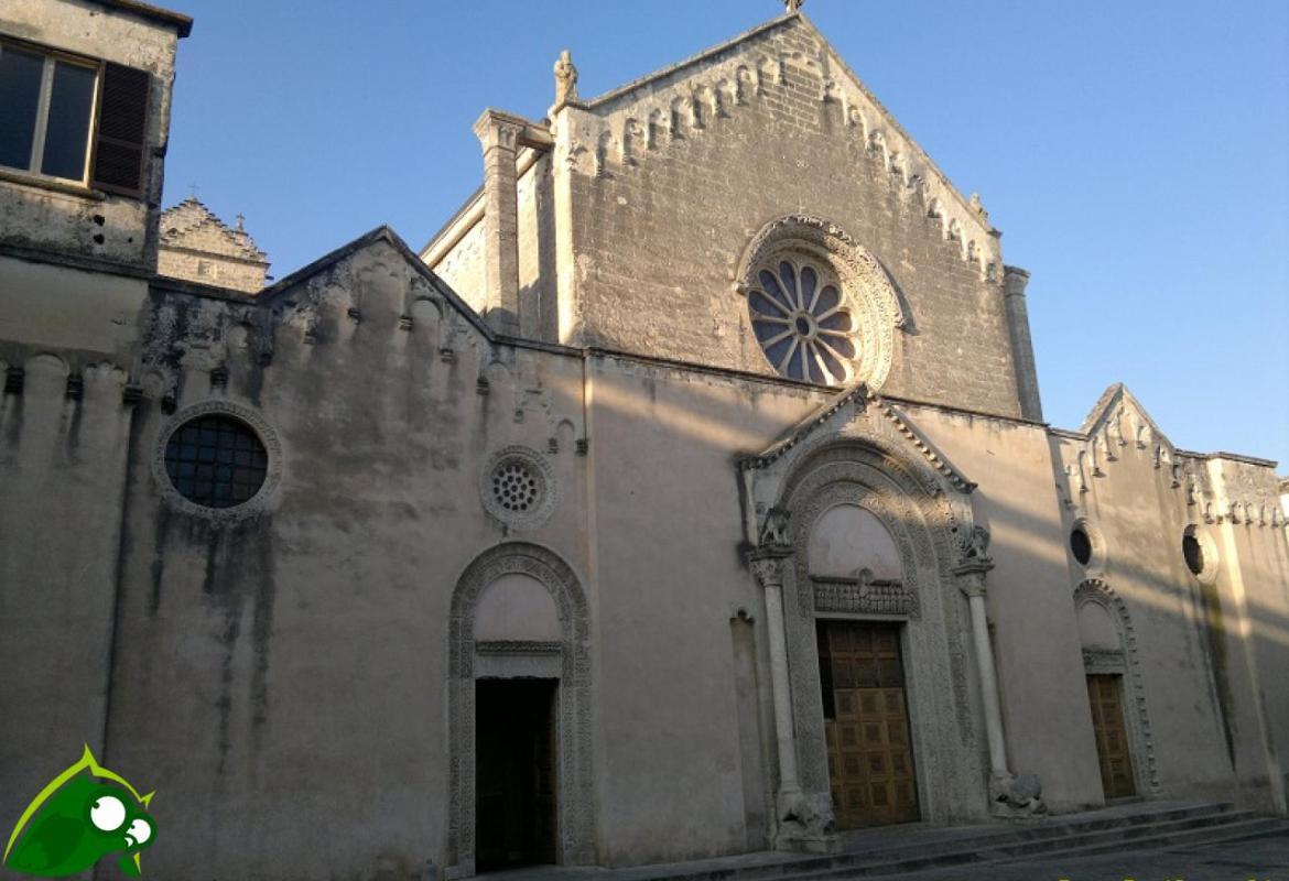 "Il mio nome è Giuda"