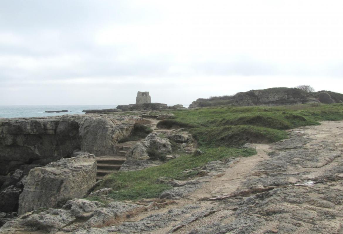 Scoperta a Roca una tomba del V secolo a. c.
