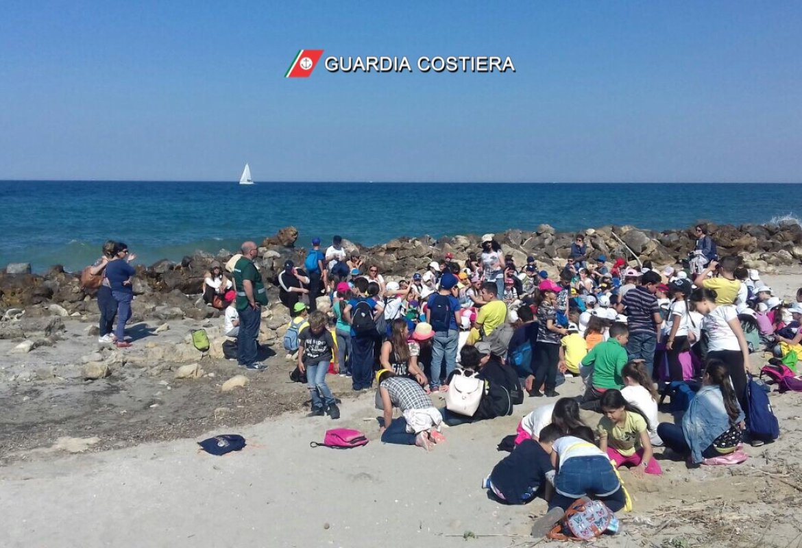 Liberate due tartarughe curate a Calimera