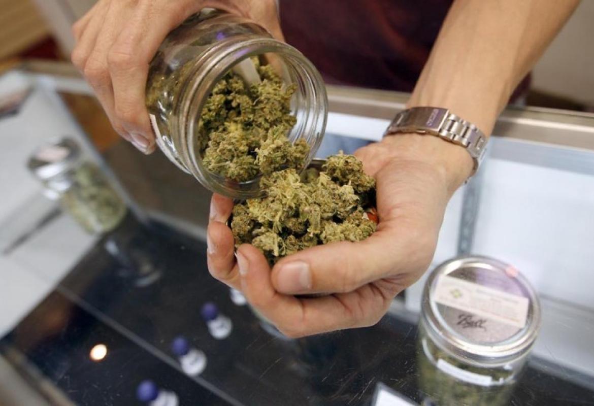 "Emiliano si occupi della cannabis terapeutica"