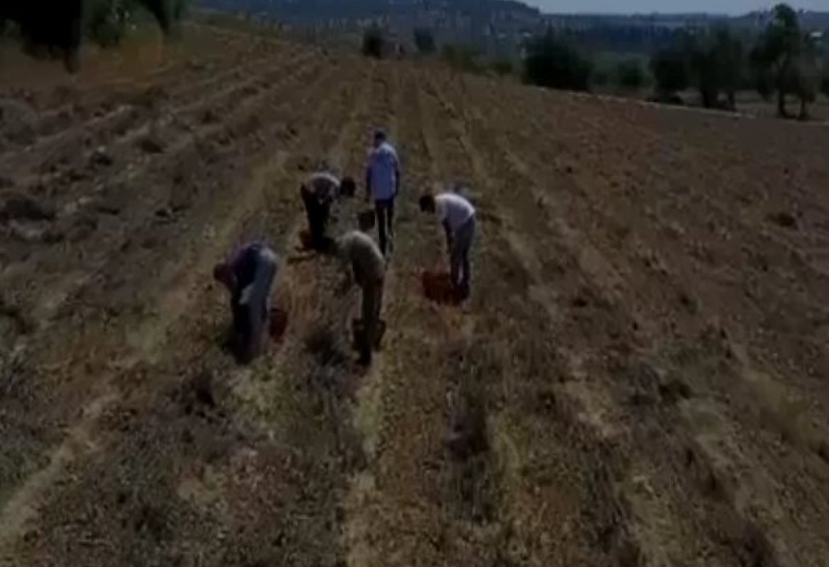 Contrasto al caporalato, controllate due aziende agricole a Nardò