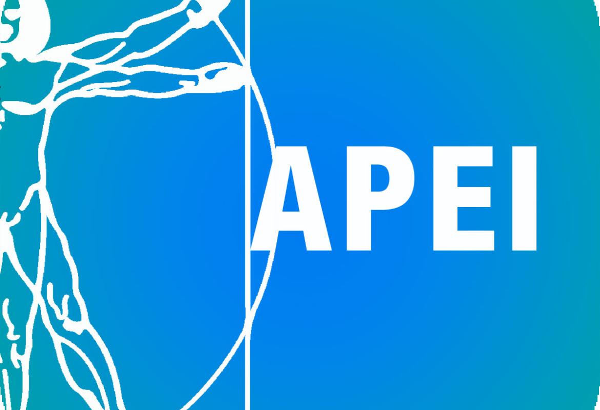 Liceo in quattro anni? Le critiche dei pedagogisti