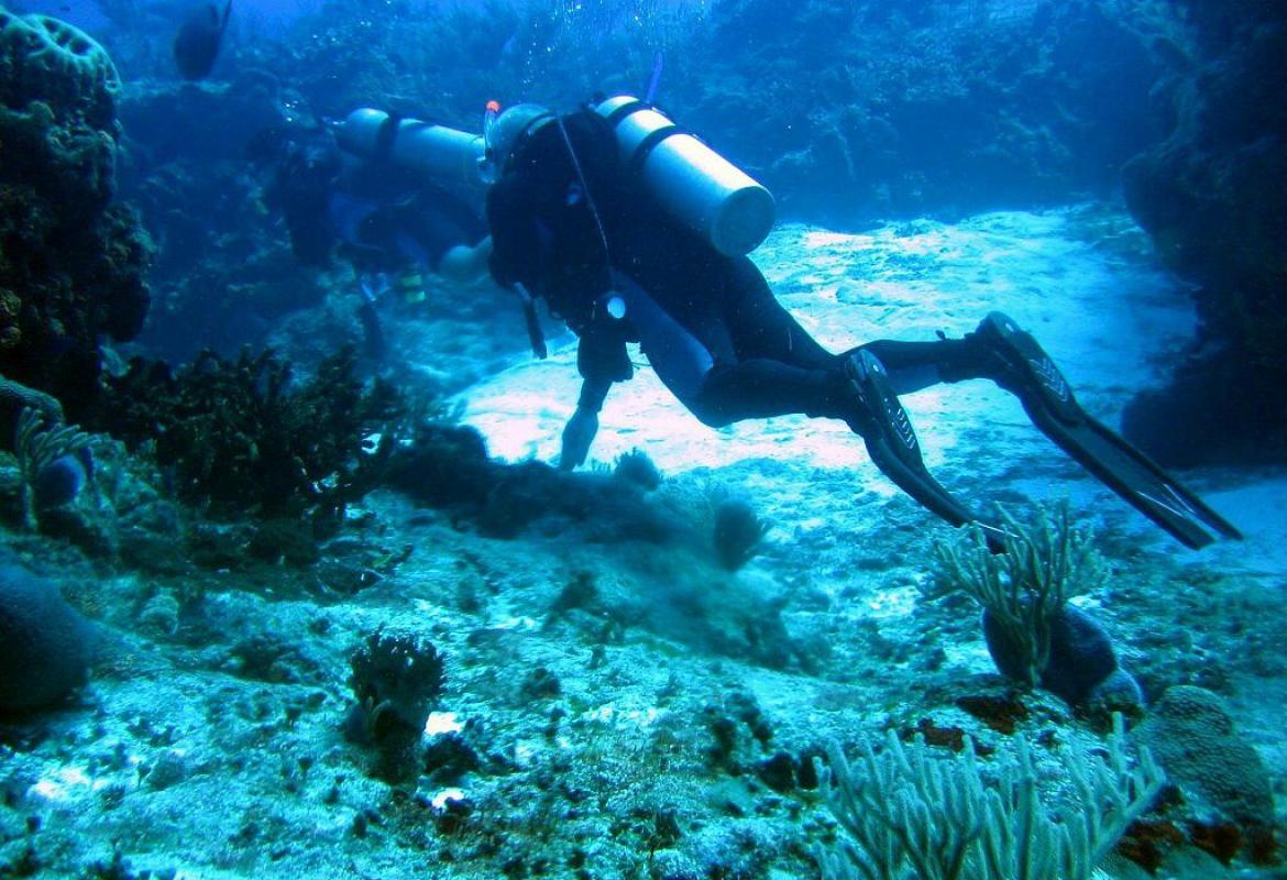 Ad Otranto i campionati italiani di fotografia subacquea