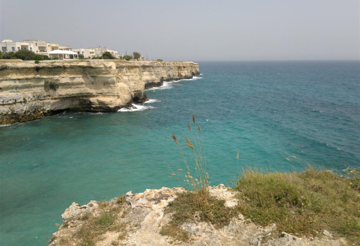 "Viaggiatori sulla terra di Dio", verso la Giornata per la custodia del Creato