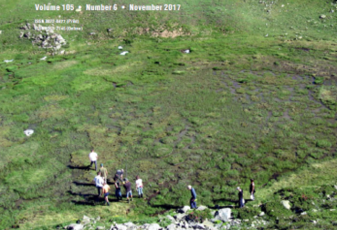 In Valle d'Aosta un pascolo di 5600 anni fa