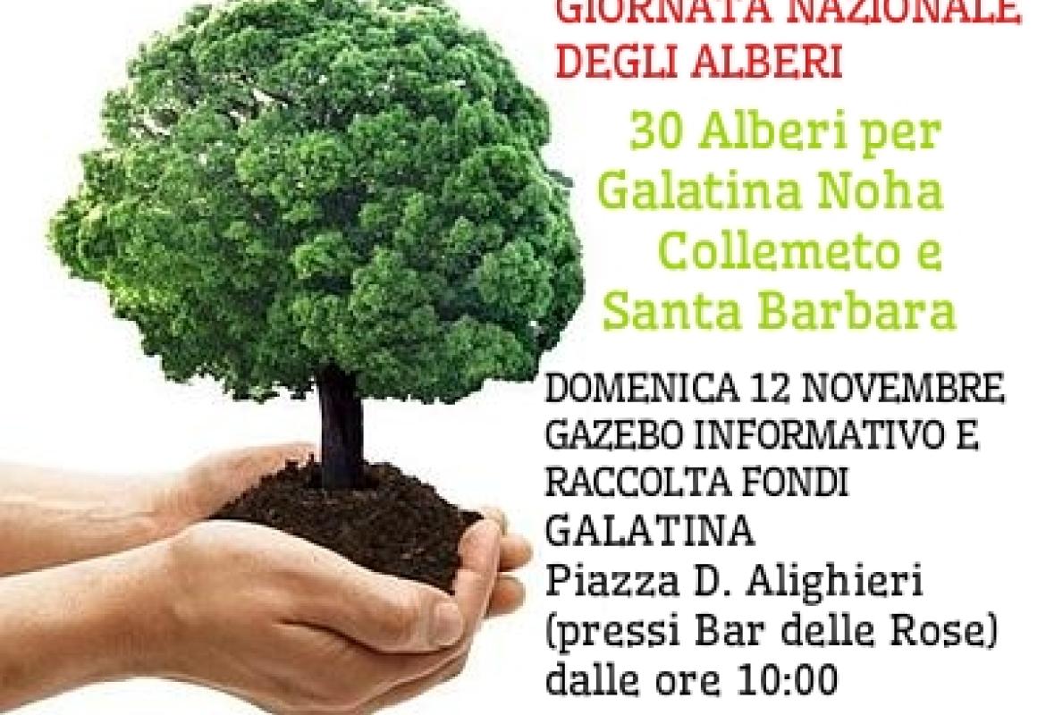 Trenta alberi per Galatina e frazioni