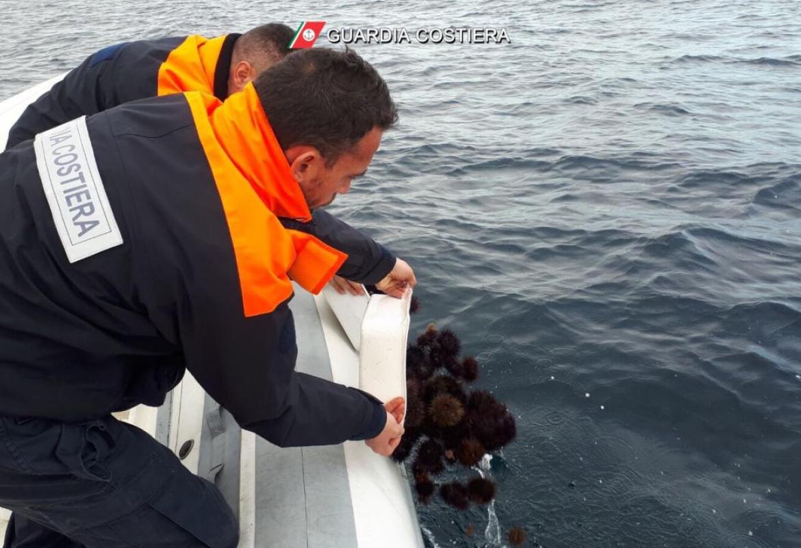 Ispezioni e multe della Guardia Costiera a tutela del mare