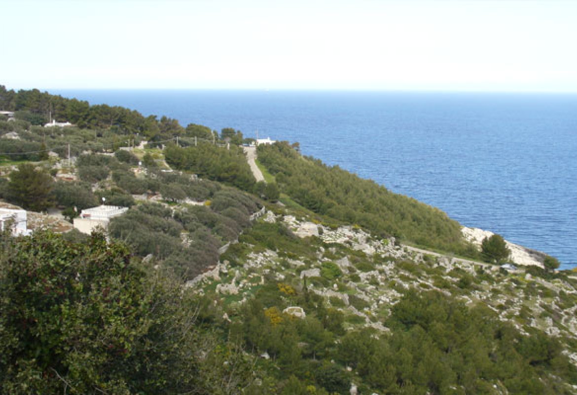 Alla scoperta a piedi della Serra dei Cianci