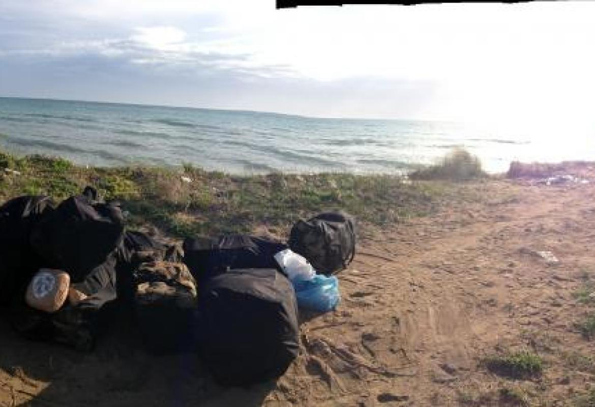 Sequestrata marjuana per tre milioni di euro