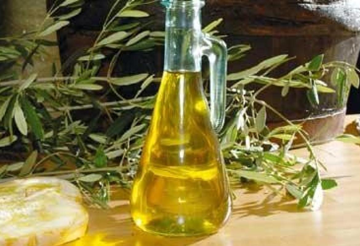 L'olio pugliese verso la denominazione IGP