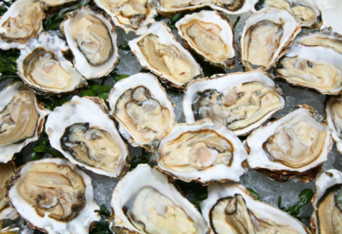 Mangia ostriche crude e muore divorata dal "batterio mangiacarne"