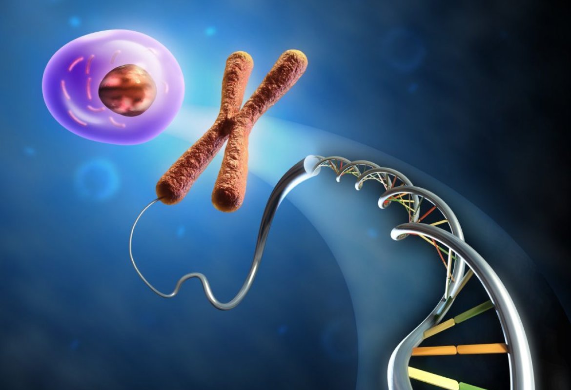 Excavator2, un nuovo algoritmo per scoprire le anomalie del DNA dovute al cancro