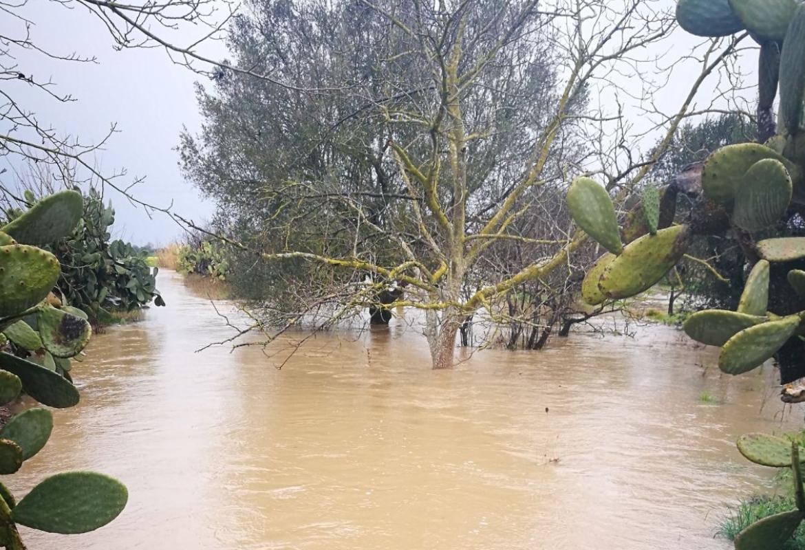 &quot;Si faccia la manutenzione del Canale dell’Asso&quot;
