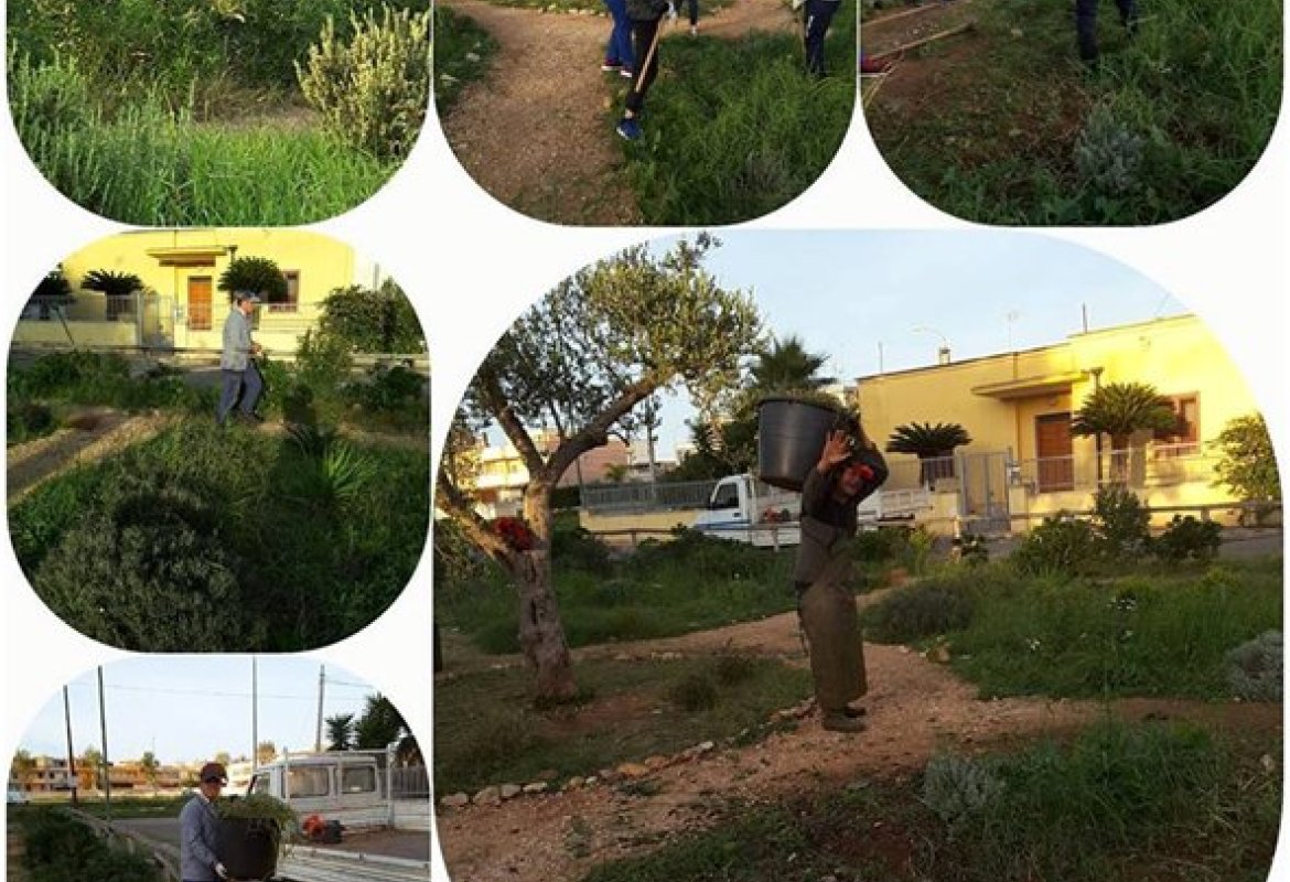  Il Service Learning al Polo 2 di Galatina