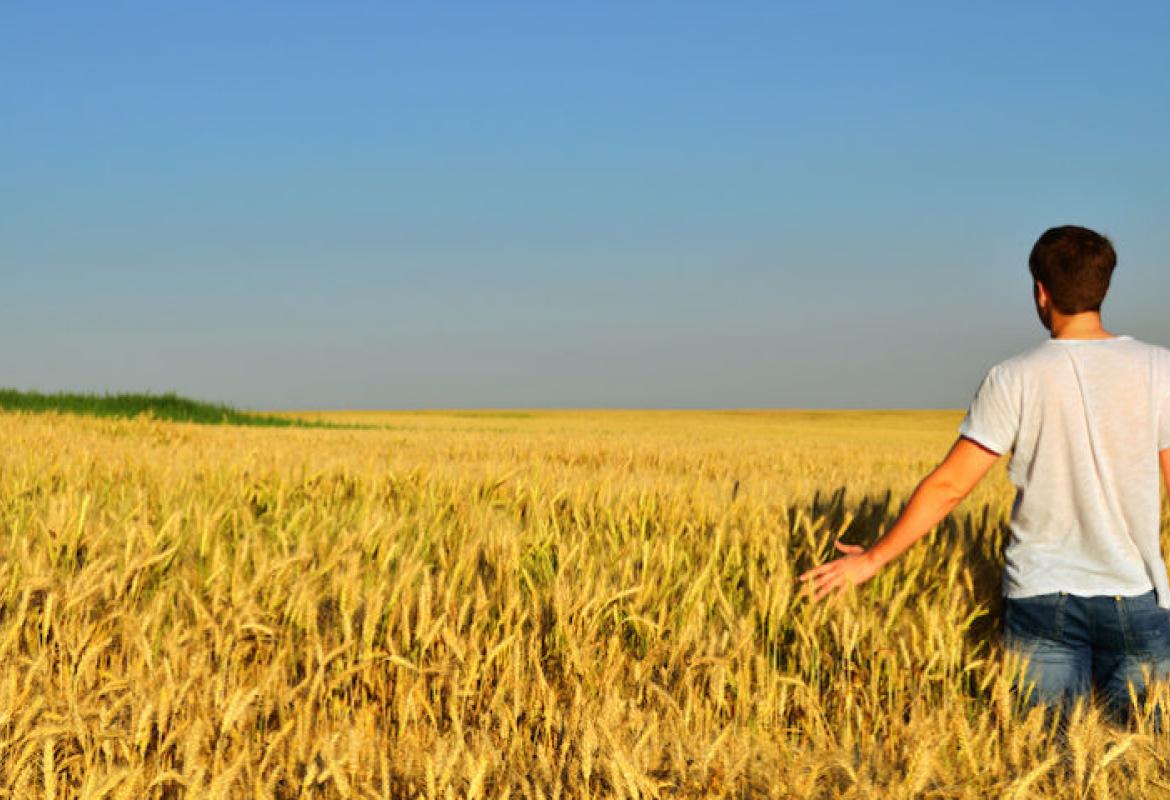 Gli agricoltori salentini incontrano i candidati