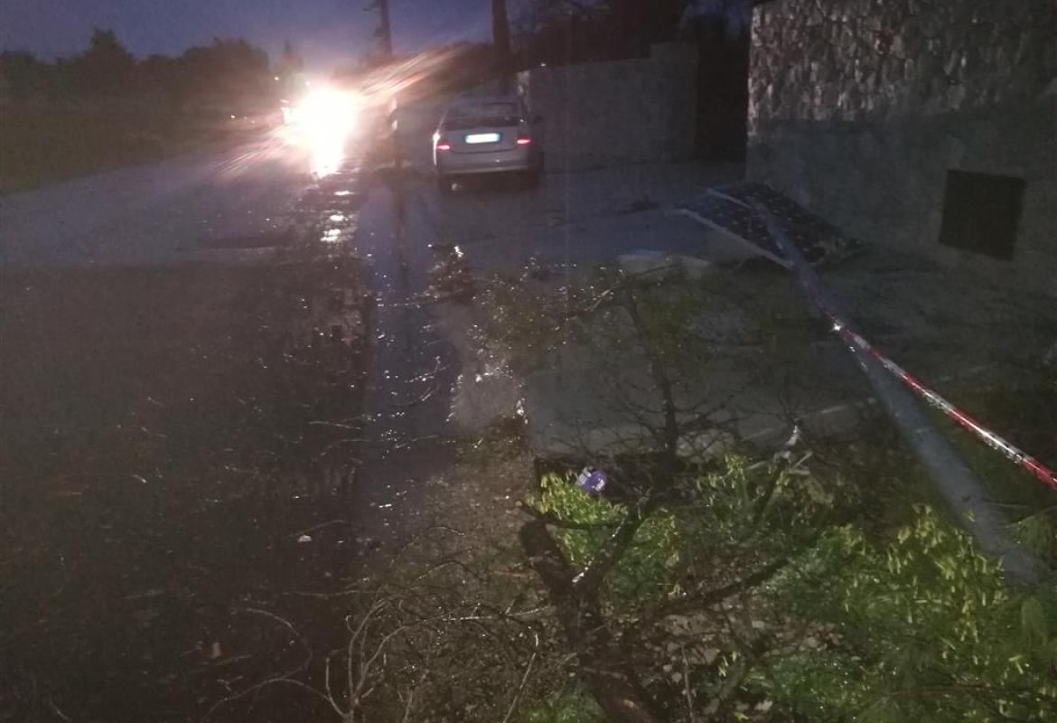 Un grosso pino cade sulla via per Collemeto ed abbatte un palo della pubblica illuminazione