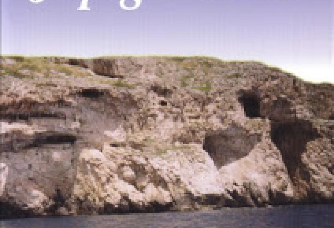 Giuseppe Ruggero Negro presenta “Iapigiamara”