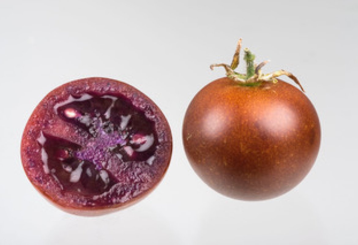 Il pomodoro 'bronzeo' cura le infiammazioni intestinali 