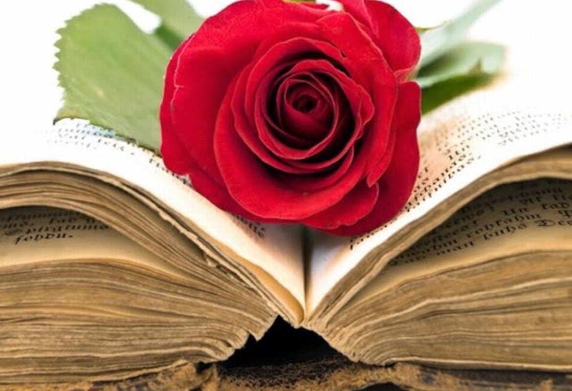 Una rosa per un libro