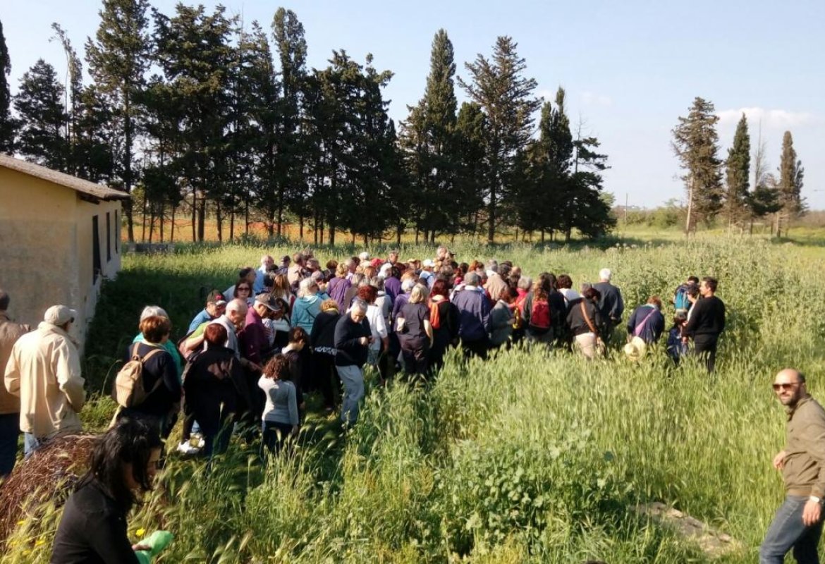 Saper distinguere il grano dallo "scioju"