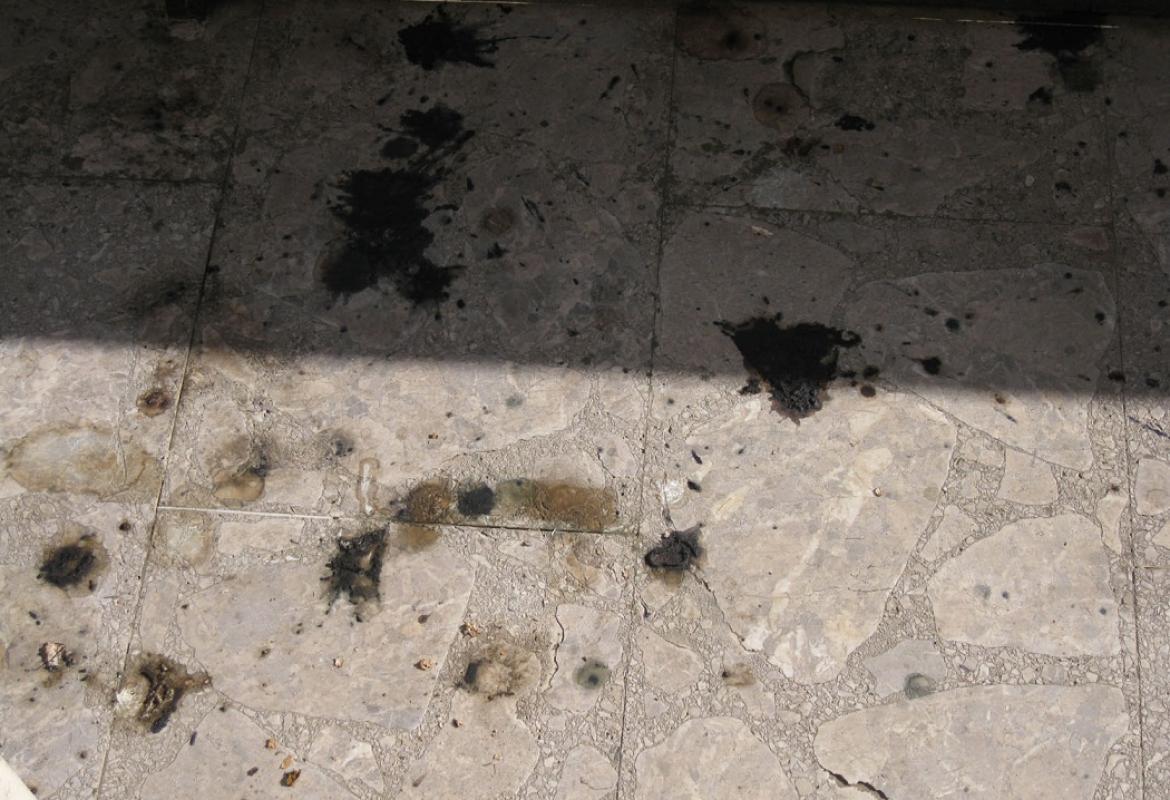 Deiezione diarroica di piccione su perlato di Sicilia nei pressi del Cavallino Bianco