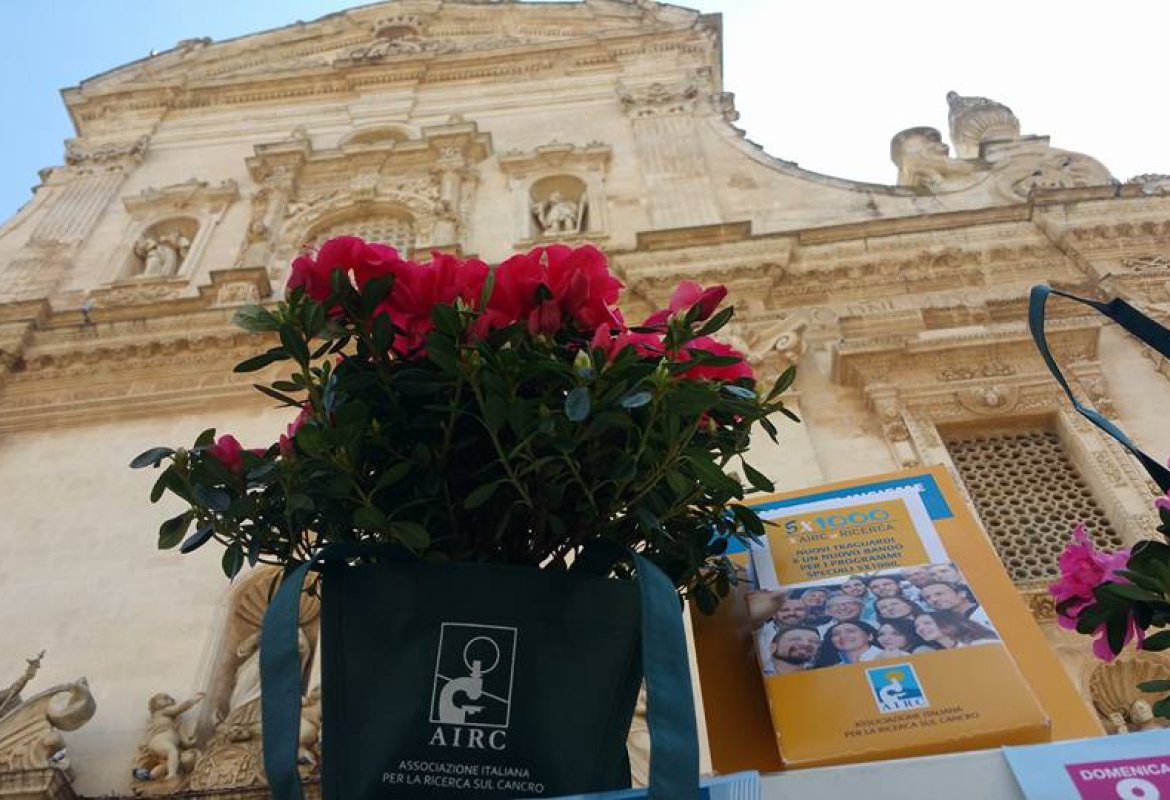 Oggi e domani in piazza l'azalea della ricerca contro il cancro