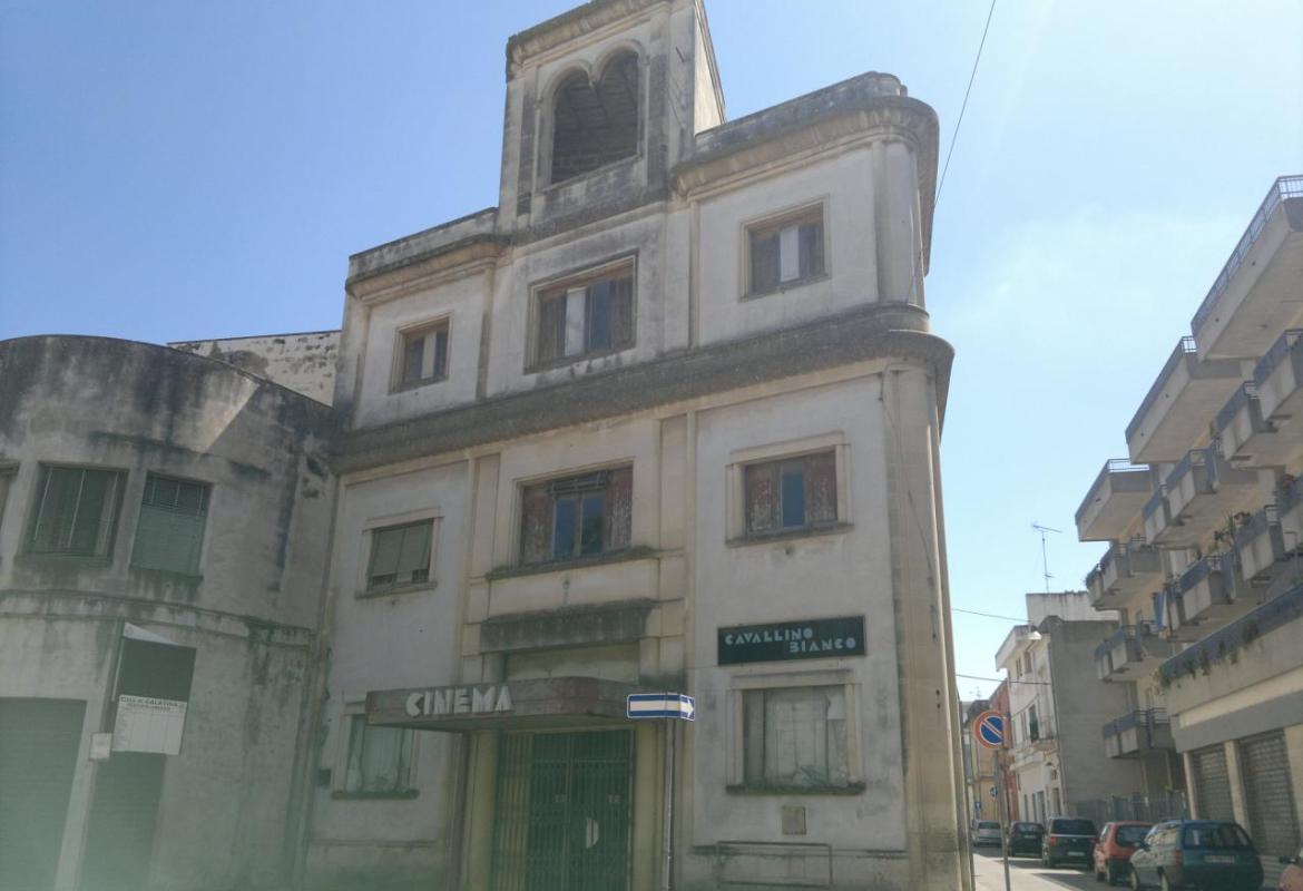 Nessuno tocchi i piccioni!