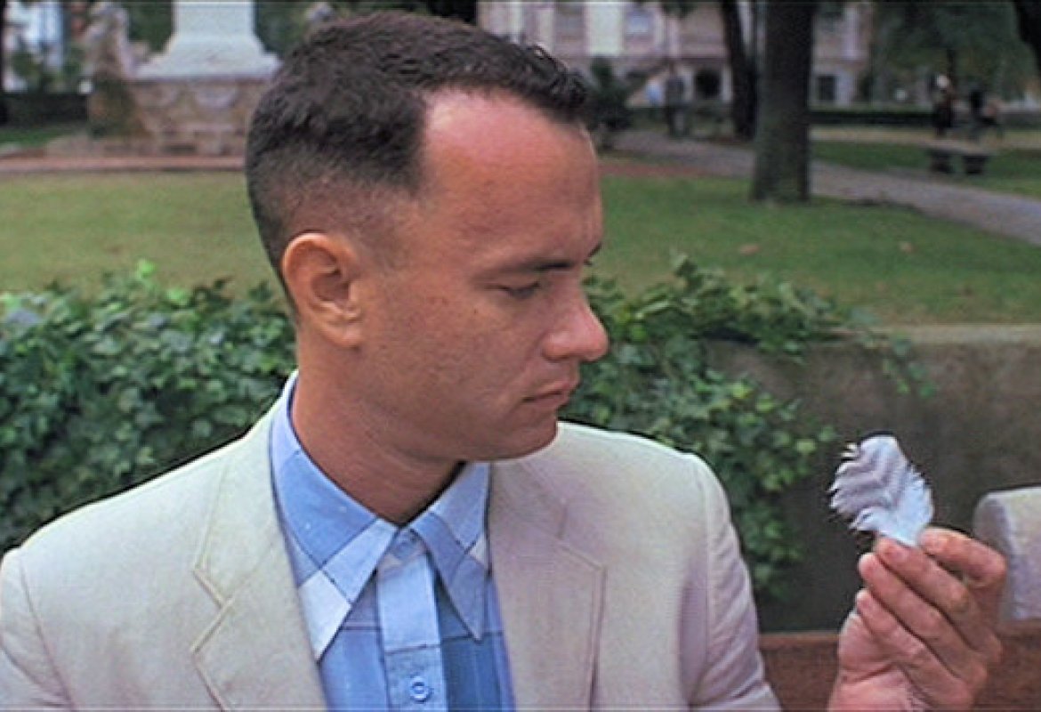 "Stupido è chi lo stupido fa"