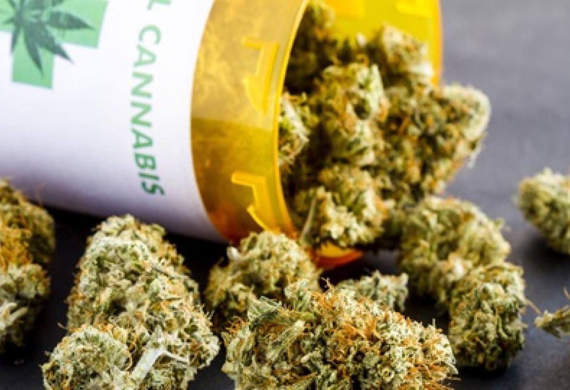 A Lecce non si trova la Cannabis terapeutica,