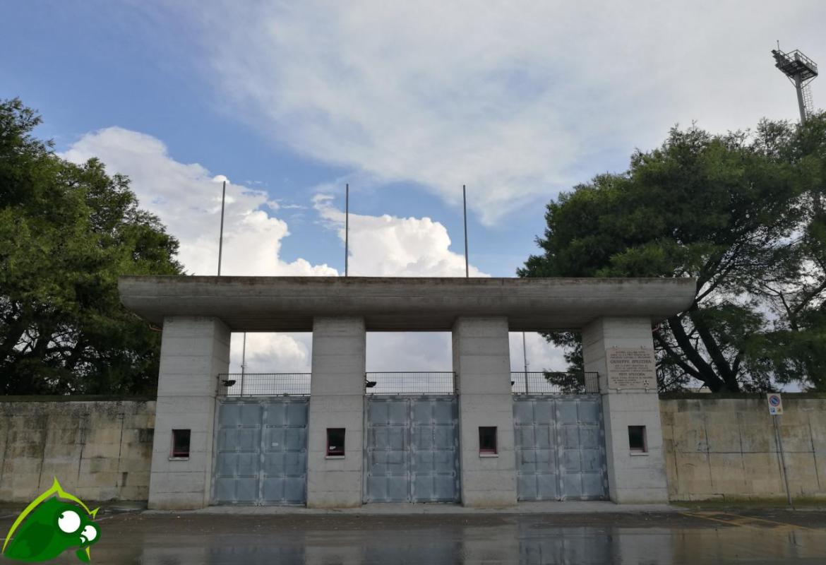 "Il Sindaco e l'Assessore allo sport si impegnino a far rinascere la Pro Italia Galatina"