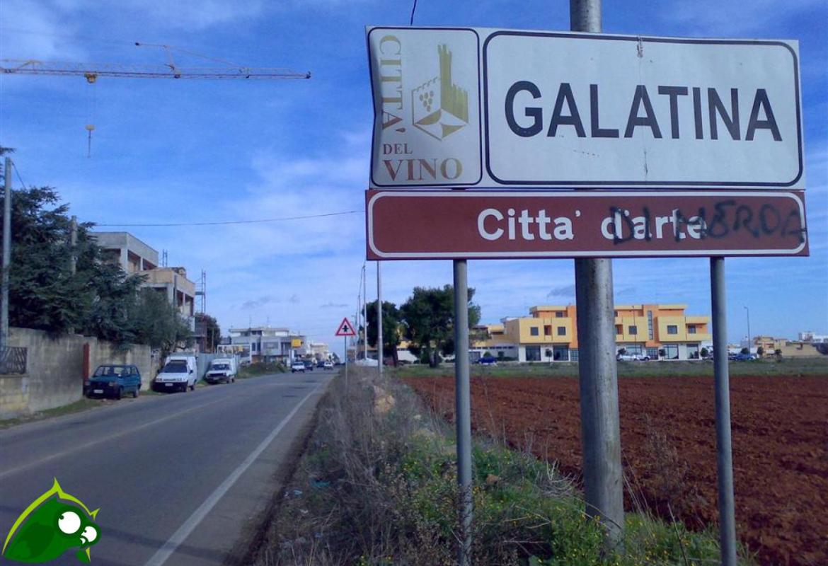 Galatina ritorna "Città d'arte"